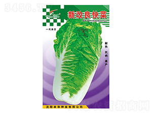 新改良快菜-白菜種子-豐華種業(yè)