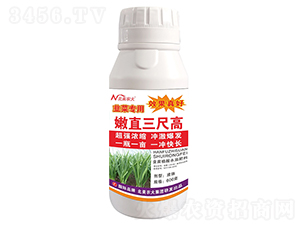 韭菜專用嫩直三尺高-北美農(nóng)大