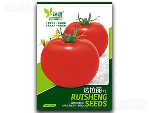 法拉利F1-番茄種子-瑞晟