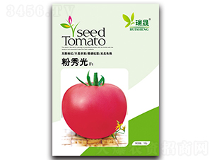 粉秀光F1-番茄種子-瑞晟
