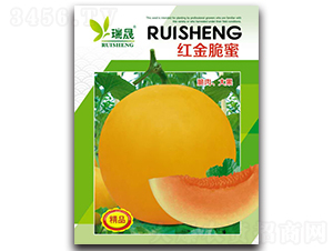 紅金脆蜜-甜瓜種子-瑞晟