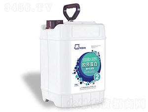 è‚¥è‘‰å£¯èŽ–åž‹è† åŽŸè›‹ç™½å«æ°¨åŸºé…¸æ°´æº¶è‚¥æ–™-æ ¹æ“š(jÃ¹)åœ°è‚¥æ¥­(yÃ¨)