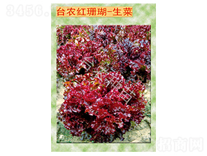 臺農(nóng)紅珊瑚生菜-生菜種子-臺農(nóng)種苗