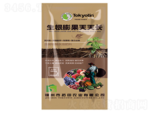 生根膨果天天長-拓田農(nóng)業(yè)