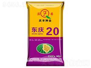 東慶20-大豆種子-慶豐種業(yè)