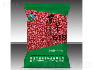 京早618-玉米種子-譽(yù)豐