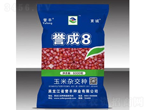 譽成8-玉米種子-譽豐