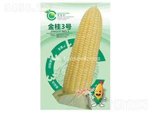 金桂3號-玉米種子-桂福園農(nóng)業(yè)