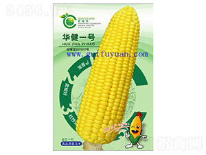 華健一號-玉米種子-桂福園農(nóng)業(yè)