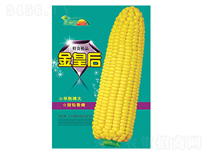 玉米種子-金皇后-科星