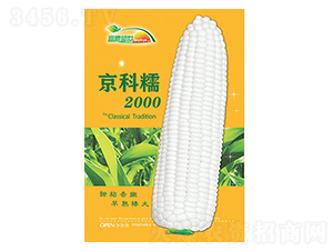 玉米種子-京科糯2000橙色版-科星