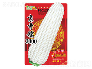 玉米種子-京香糯3000-科星