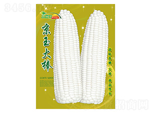 玉米種子-京玉大棒-科星