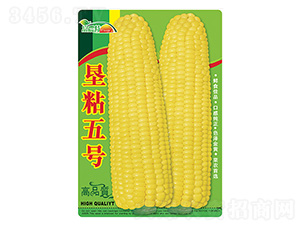 玉米種子-墾粘五號-科星