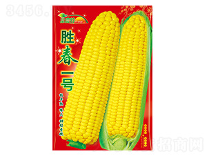 玉米種子-勝春一號-科星