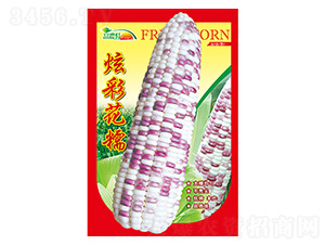 玉米種子-炫彩花糯-科星