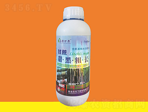 甘蔗甜黑粗長(zhǎng)-圣膨萬(wàn)果-沃天下