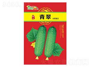 水果黃瓜-青翠-科星