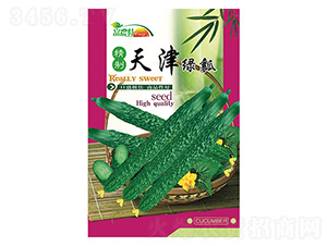 黃瓜種子-天津綠瓤-科星