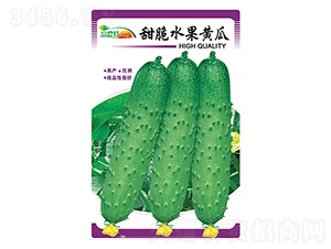 甜脆水果黃瓜-科星