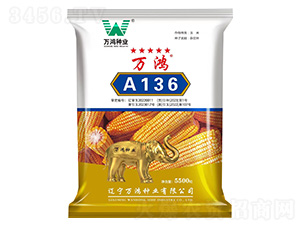 玉米種子-萬鴻A136-萬鴻種業(yè)