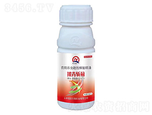 農(nóng)用殺蟲助劑樟腦精油-披青斬薊-強(qiáng)農(nóng)