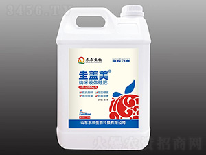 ç´ç±³æ¶²é«”ç¡…è‚¥-åœ­è“‹ç¾Ž-æ±è¾°ç”Ÿç‰©