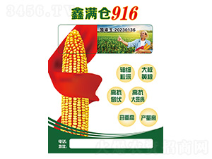 玉米種子-鑫滿倉916-久翔農(nóng)業(yè)