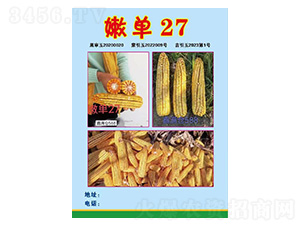 玉米種子-嫩單27-久翔農(nóng)業(yè)