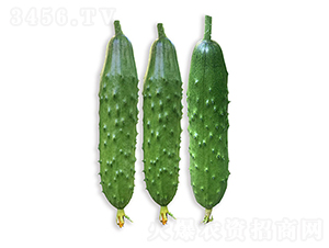ä¾è¾²(nÃ³ng)ç¶ ç”œ8è™Ÿ-é»ƒç“œç¨®å­-ä¾è¾²(nÃ³ng)è¾²(nÃ³ng)æ¥­(yÃ¨)
