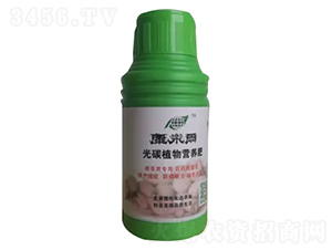 康樂(lè)爾根莖類(lèi)-康樂(lè)爾
