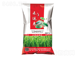 11kg水稻壯秧劑-禾運(yùn)來(lái)-飛凡農(nóng)業(yè)