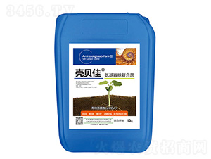 氨基寡糖復(fù)合菌-殼貝佳-四季青農(nóng)業(yè)