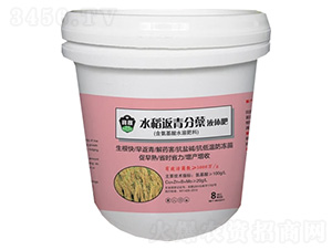 æ°´ç¨»è¿”é’åˆ†è˜—æ¶²é«”è‚¥-é¾é¦¬å¯¶ç¨¼è‚¥æ¥­(yÃ¨)