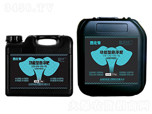 å¹³è¡¡åž‹åŠŸèƒ½æ‡¸æµ®è‚¥170-170-170+TE-è¥¿åŒ—è±¡