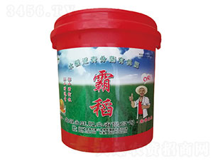 水稻返青分蘗有機(jī)肥-霸稻-永旺肥業(yè)