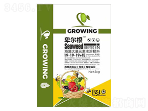 大量元素水溶肥料19-19-19+TE-卑爾根-海略
