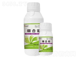 硼合鉬-益妙螯合