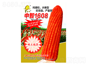 ä¸­æ™º1608-çŽ‰ç±³ç¨®å­-é‡‘å¡è¾²(nÃ³ng)æ¥­(yÃ¨)