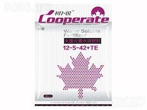 大量元素水溶肥料12-5-42+TE-柯卜銳-燊陽(yáng)化工