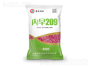 內(nèi)早209-玉米種子-蒙龍種業(yè)