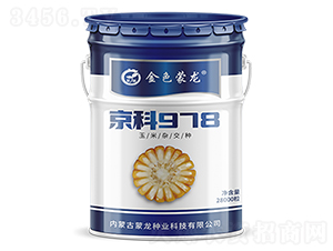 京科978（28000粒）-玉米種子-蒙龍種業(yè)