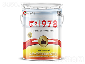 京科978（26000粒）-玉米種子-蒙龍種業(yè)
