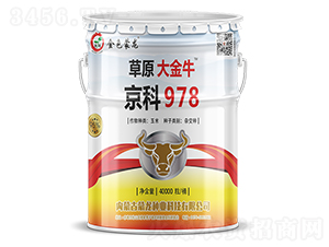 京科978（40000粒）-玉米種子-蒙龍種業(yè)