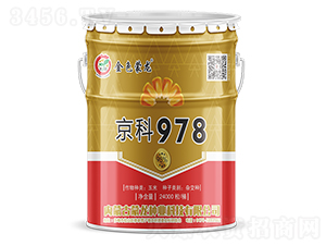 京科978（桶）-玉米種子-蒙龍種業(yè)