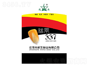 橋景337-玉米種子-新玉種業(yè)