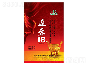 連禾18-玉米種子-新玉種業(yè)