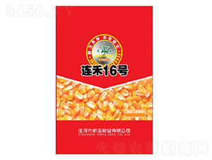 連禾16號-玉米種子-新玉種業(yè)