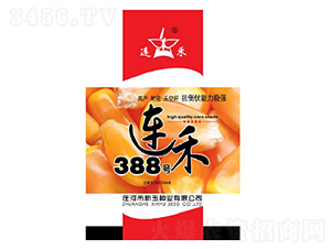 連禾388號-玉米種子-新玉種業(yè)