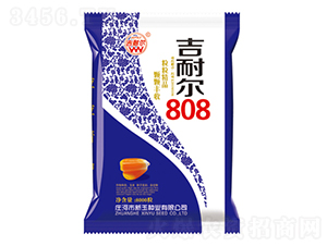 吉耐爾808-玉米種子-新玉種業(yè)